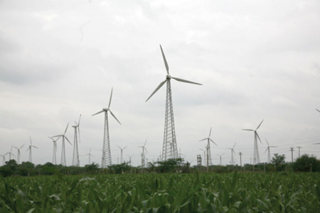 windfarm